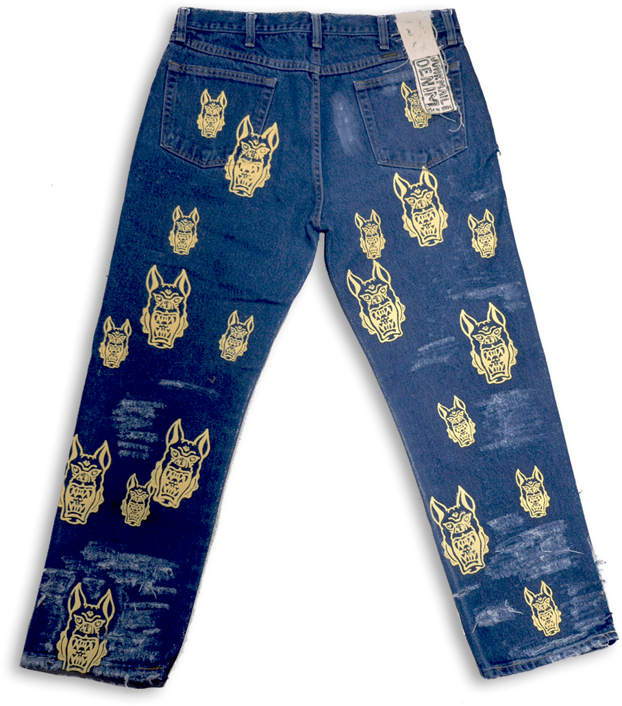 Goblin Distressed Denim Pair 3